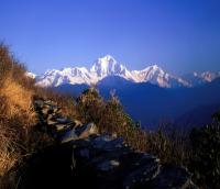 Ne-pala Tour and Trekking Ltd.